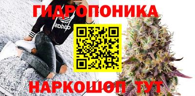 дмт Свободный
